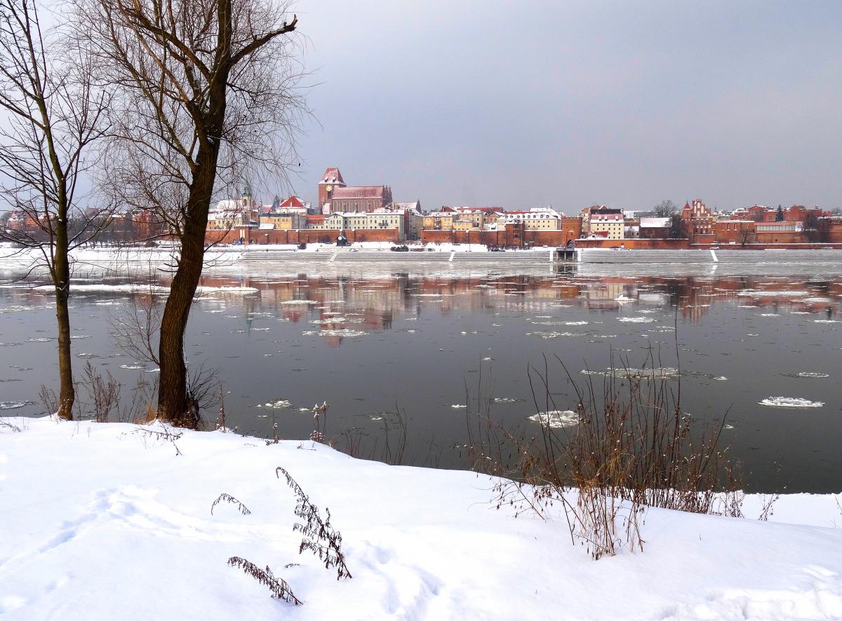 Panorama Torunia zimą