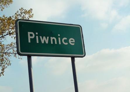 Piwnice
